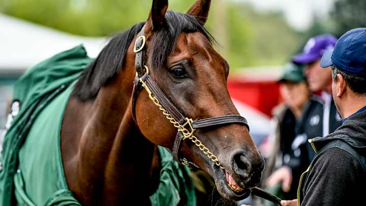 Preakness Stakes odds: Betting lines and favorites to win