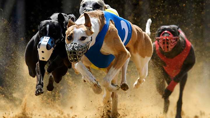 Wacky Sports Photos of the Week (April 6-12)