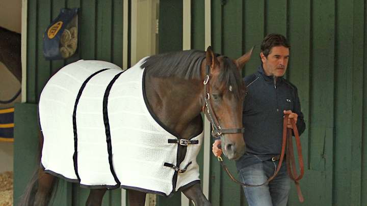 Preakness 2016: Exaggerator back for another try at Nyquist