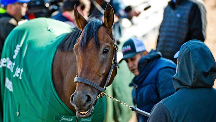 Preakness Stakes betting odds: Full field, draw results