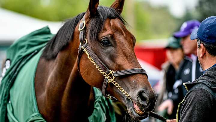 Preakness post positions: Full draw results