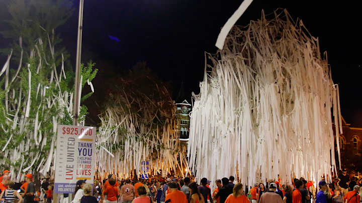 Auburn man faces felony charge for Toomer's Corner tree fire