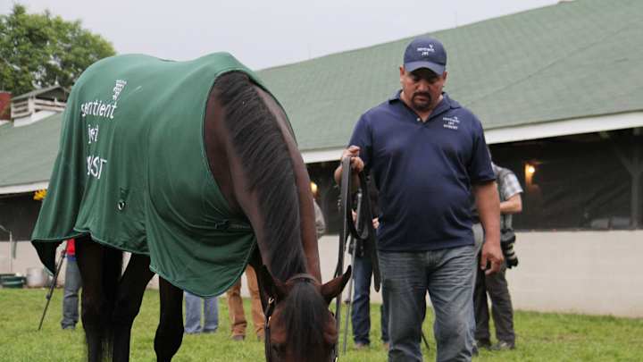 Here's here! Kentucky Derby champ Nyquist arrives at Pimlico