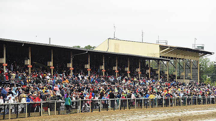 Exaggerator wins 2016 Preakness Stakes