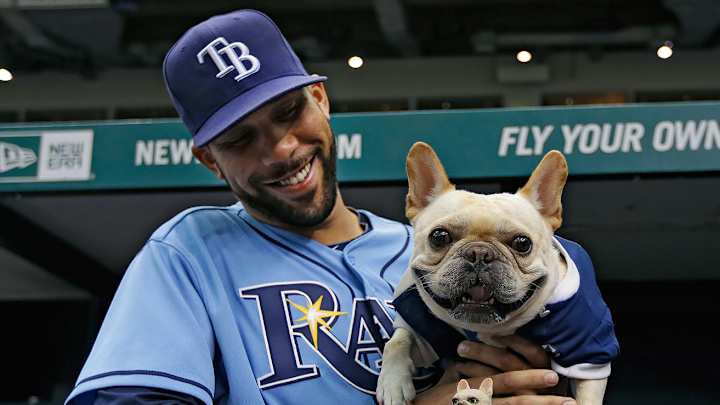 Athletes and Their Dogs