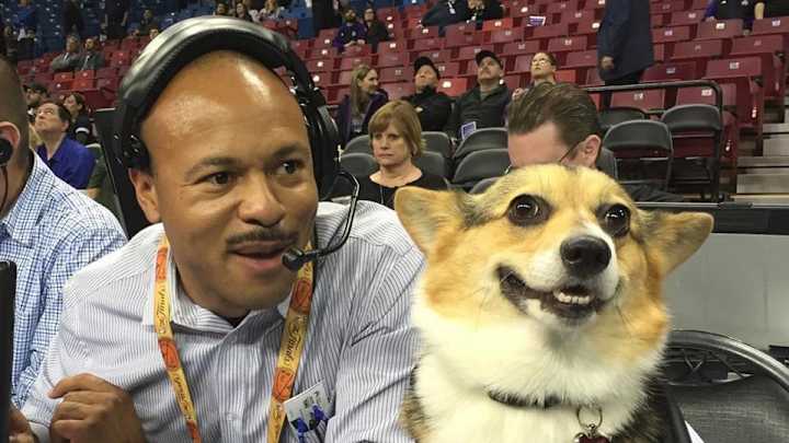 The Kings put a dog in charge of their Instagram for the night The Kings put a dog in charge of their Instagram for the night