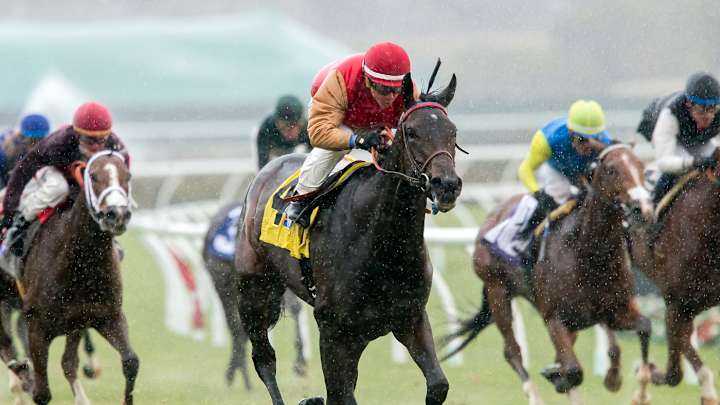 Motion, Van Dyke team to sweep stakes races at Del Mar