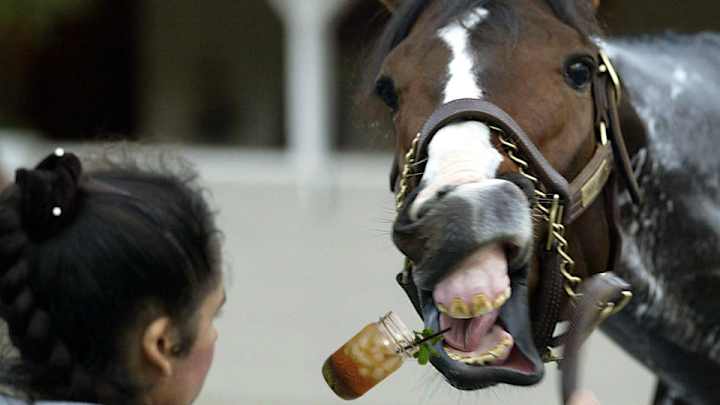 Please enjoy Extra Mustard’s Kentucky Derby drinking game Please enjoy Extra Mustard’s Kentucky Derby drinking game