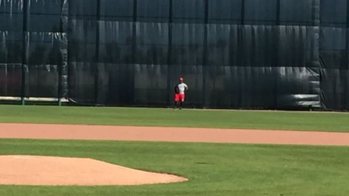 It’s blurry spring training photo season