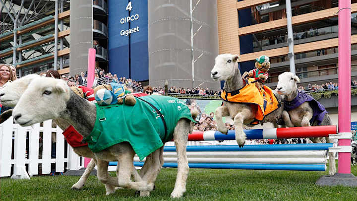 Wacky Sports Photos of the Week (March 30-April 5)