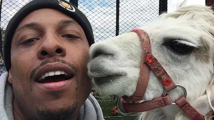 Paul Pierce got his daughter a llama for her birthday Paul Pierce got his daughter a llama for her birthday