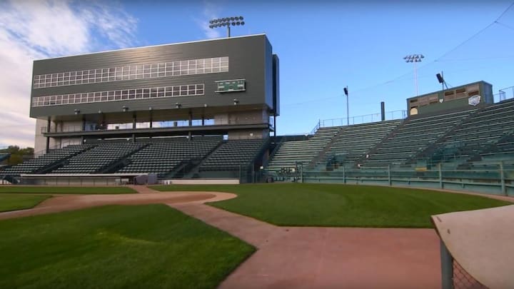 Colorado Mesa baseball coach apologizes for anti-gay remark