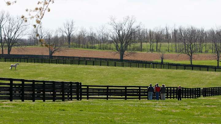 Ky. bourbon trail offers a lesson for reviving racing's fans