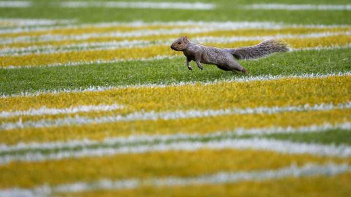 ICYMI in NFL Week 9: Raiders suddenly entertaining, relevant ICYMI in NFL Week 9: Raiders suddenly entertaining, relevant