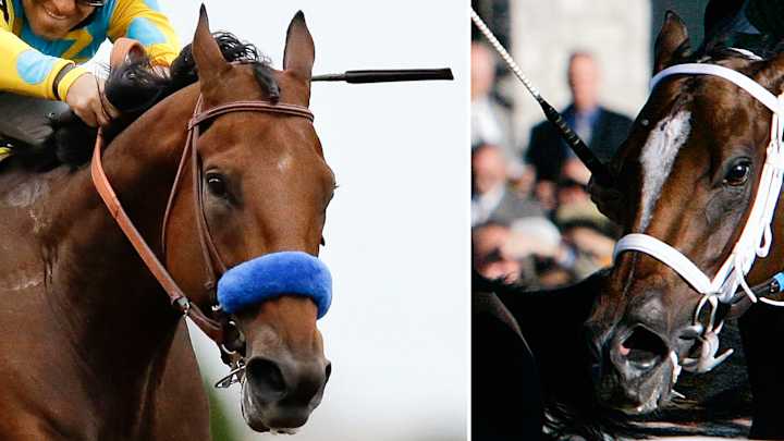 New title for American Pharoah: dad in waiting