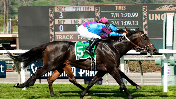 Bolo catches Obviously to win Arcadia Stakes at Santa Anita