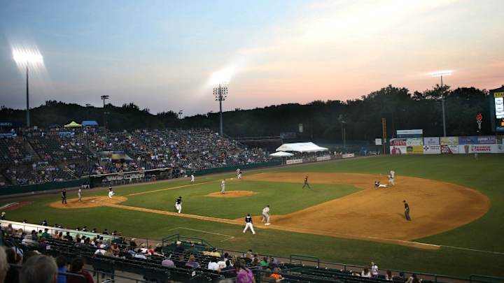 Binghamton Mets have some very odd options for a name change Binghamton Mets have some very odd options for a name change