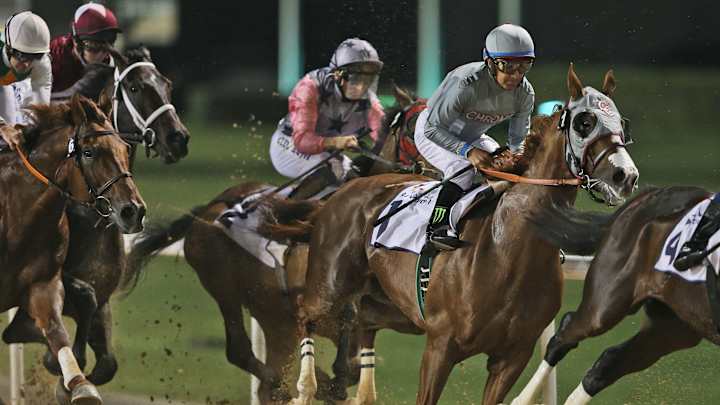 California Chrome, star of 2014, cruises to win in Dubai California Chrome, star of 2014, cruises to win in Dubai