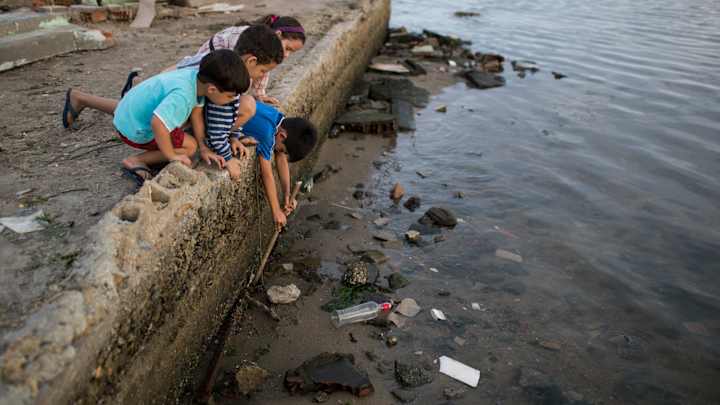 Expert to Rio athletes: 'Don't put your head under water'