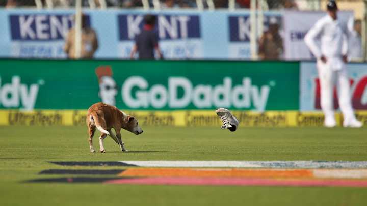 Watch: Wily dog causes multiple delays in India-England cricket match