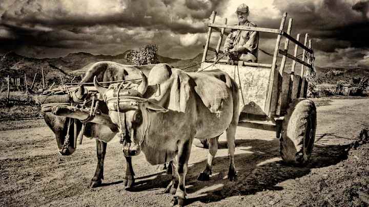 Ogier boldly moves into lead at Monte Carlo rally Ogier boldly moves into lead at Monte Carlo rally