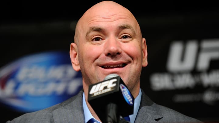 New York state passes bill to legalize MMA