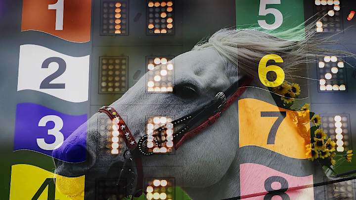 VIEWFINDER Perfect Pix: The Preakness in a Different Light