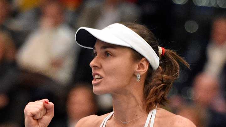 Hingis, Bencic picked to lead Swiss in Fed Cup semifinal