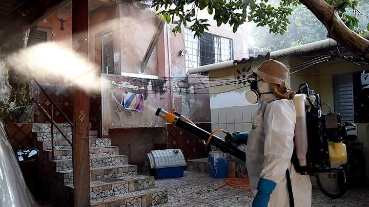 WHO rejects idea of moving Rio Olympics due to Zika virus WHO rejects idea of moving Rio Olympics due to Zika virus