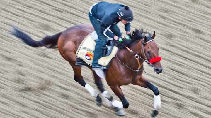 Get to know Preakness favorite, Triple Crown contender Nyquist
