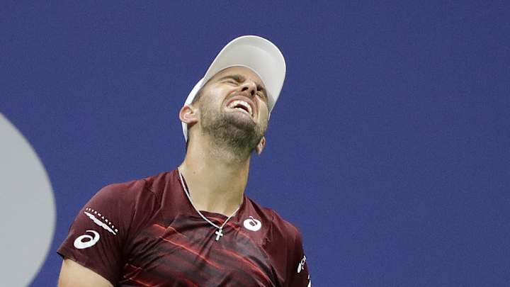 Fan favorite del Potro defeats American Johnson at US Open