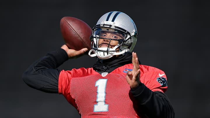 Newton, Watt,  Rivera, Berry big winners of NFL awards