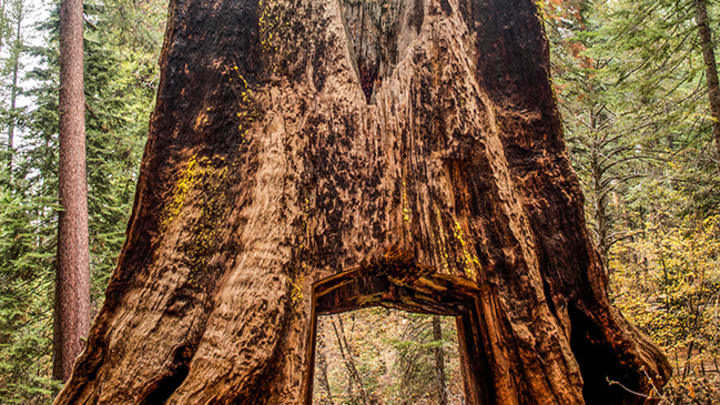 Five Great National Parks