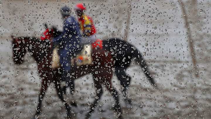 Two horses die after Preakness undercard races