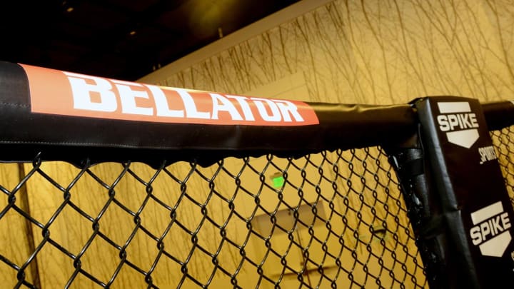 Lena Ovchynnikova vs. Jaimelene Nievera added to Bellator 160