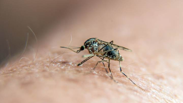 20. Zika virus dominates chatter in leadup to Games