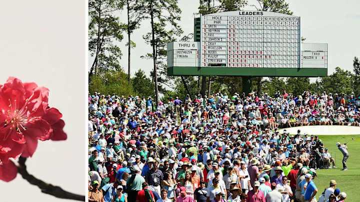 VIEWFINDER: Augusta in Bloom