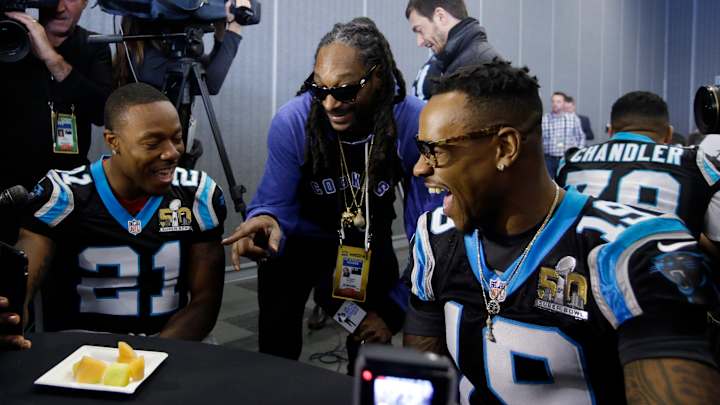 Ape at Utah zoo predicts Panthers to win Super Bowl