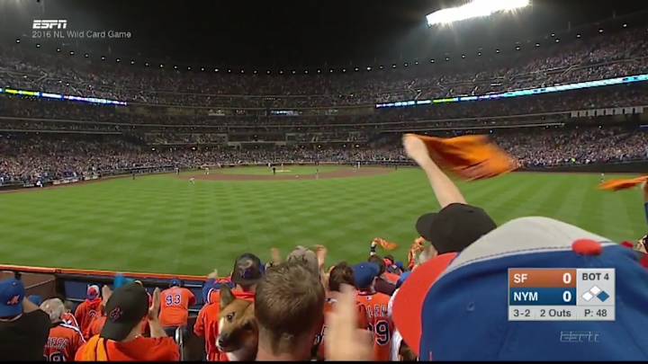 There’s a cute dog sitting in the outfield at the NL wild-card game