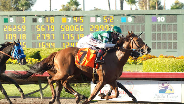 Favored Accelerate wins $201,035 Los Alamitos Derby
