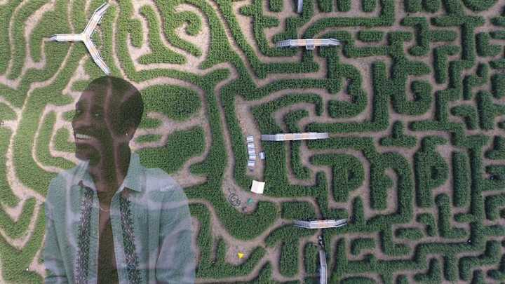 If you can see David Ortiz’s face in this corn maze you’re a magician