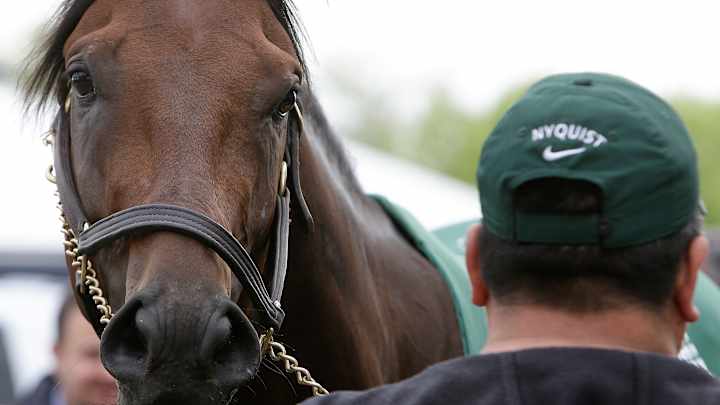 Preakness 2016: Everyone loves Nyquist, even his rivals Preakness 2016: Everyone loves Nyquist, even his rivals