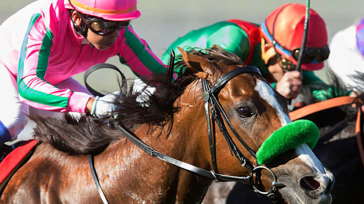 Japan-bred Nuovo Record wins Red Carpet Handicap at Del Mar