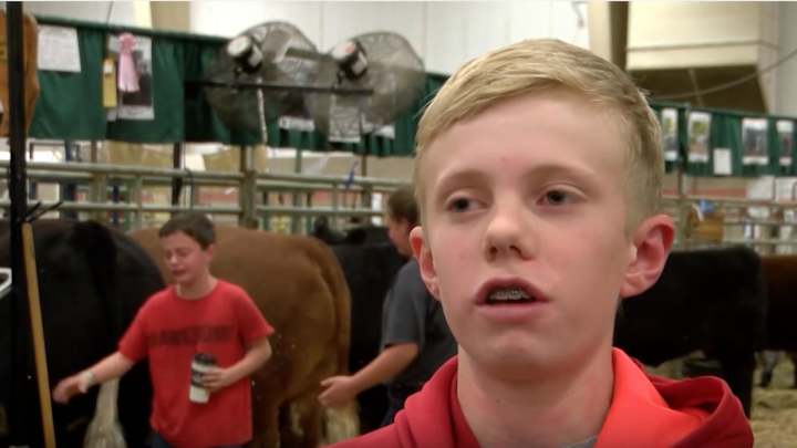 Look at this cow teach a twerpy kid a lesson