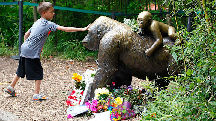 NFL Shop stops selling customized Harambe jerseys