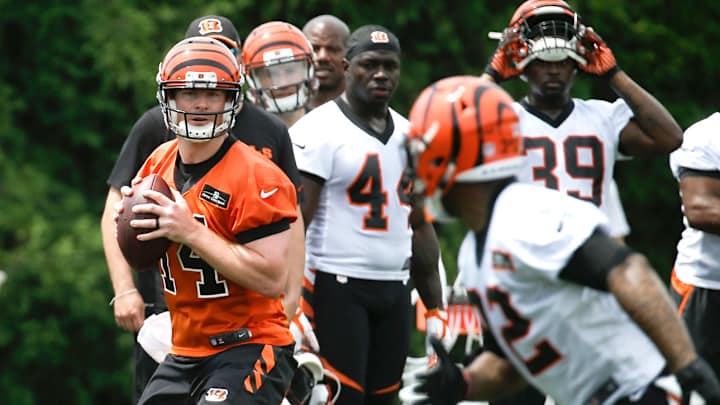 The All-Minicamp Hype Team