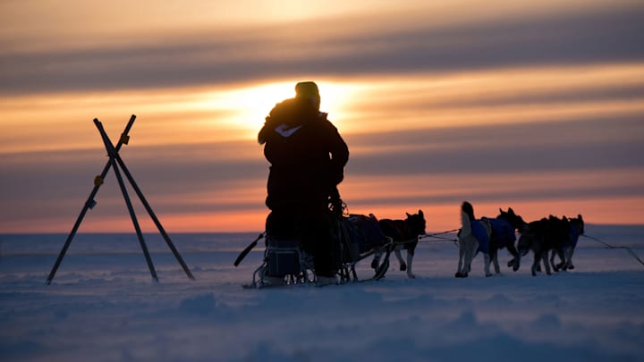 Man on snowmobile attacks Iditarod teams, kills dog Man on snowmobile attacks Iditarod teams, kills dog