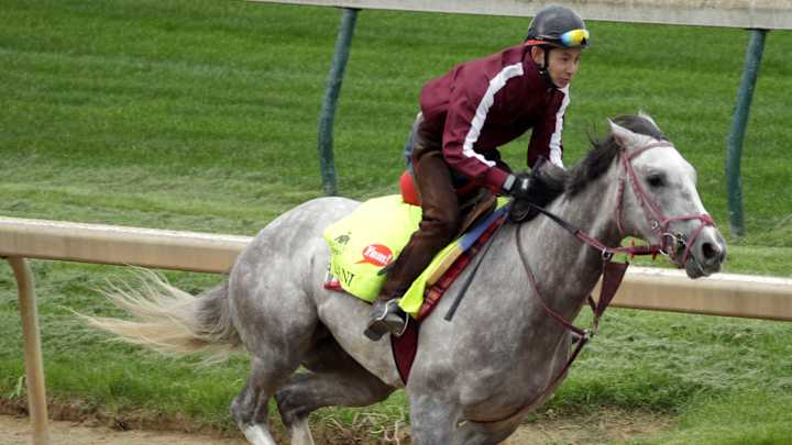Feisty Lani to become first Japan-based horse in Preakness