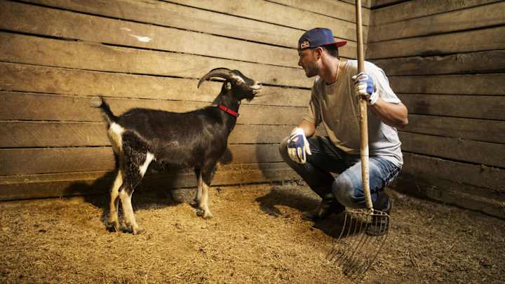 Kris Bryant started making amends with the Billy Goat Curse in 2015 Kris Bryant started making amends with the Billy Goat Curse in 2015