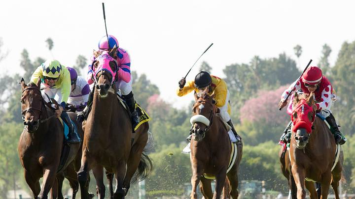 Ashleyluvssugar wins $200,000 John Henry Turf at Santa Anita